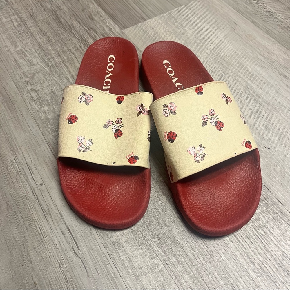Coach Uli Ladybug Slides size 10